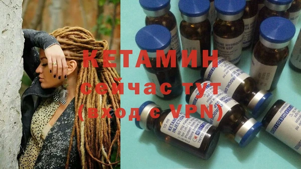 PSILOCYBIN Новозыбков