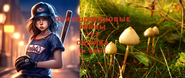 mix Новодвинск