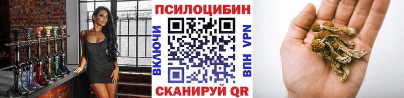 даркнет сайт  Анива  Галлюциногенные грибы Magic Shrooms 